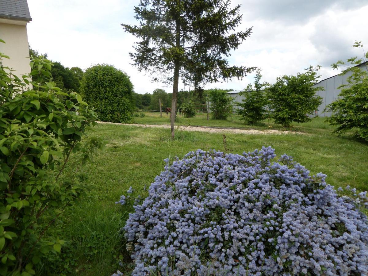 Bienvenue A L'Andruere Bed & Breakfast Cheille Exterior photo