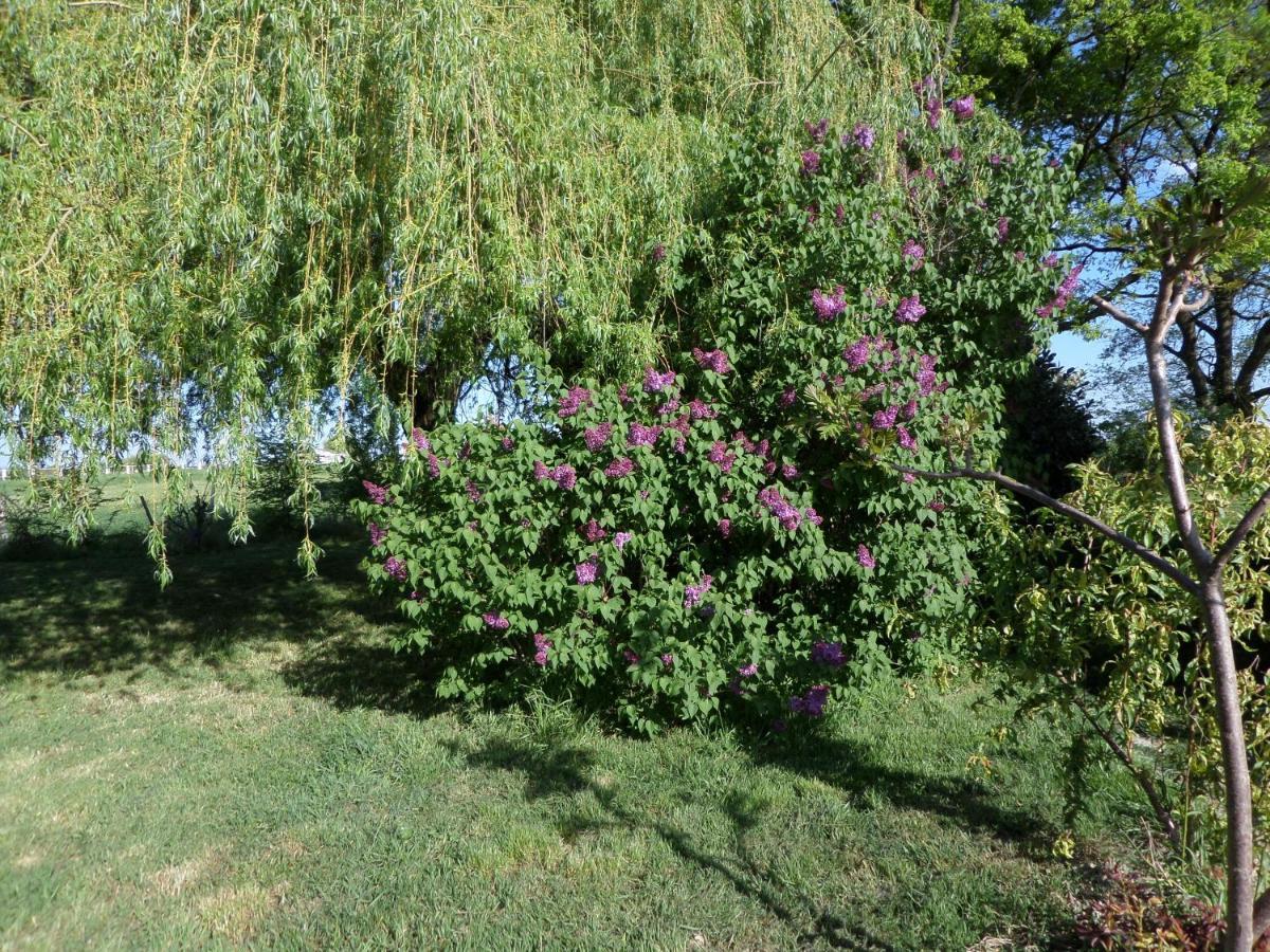 Bienvenue A L'Andruere Bed & Breakfast Cheille Exterior photo